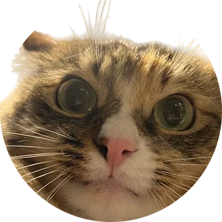 Buttercup Caffeine Co. badge: Buttercup's face in a circle