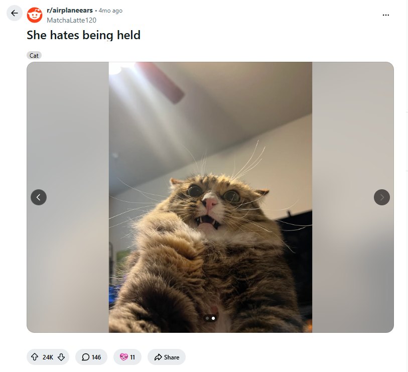 Second photo from the viral post